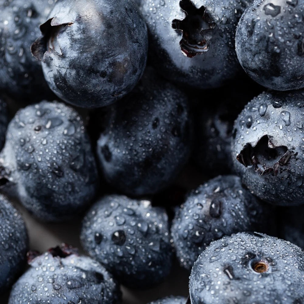 Honeybalm Blueberry LSF