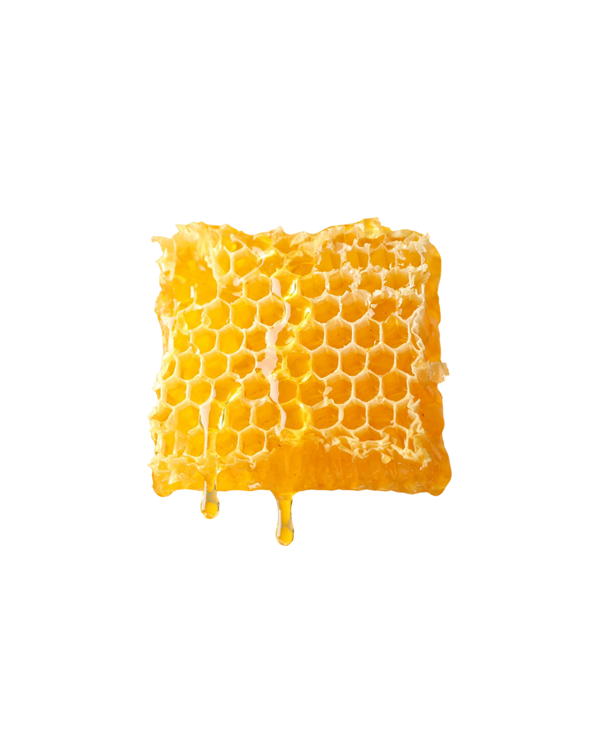 Bienenwachs