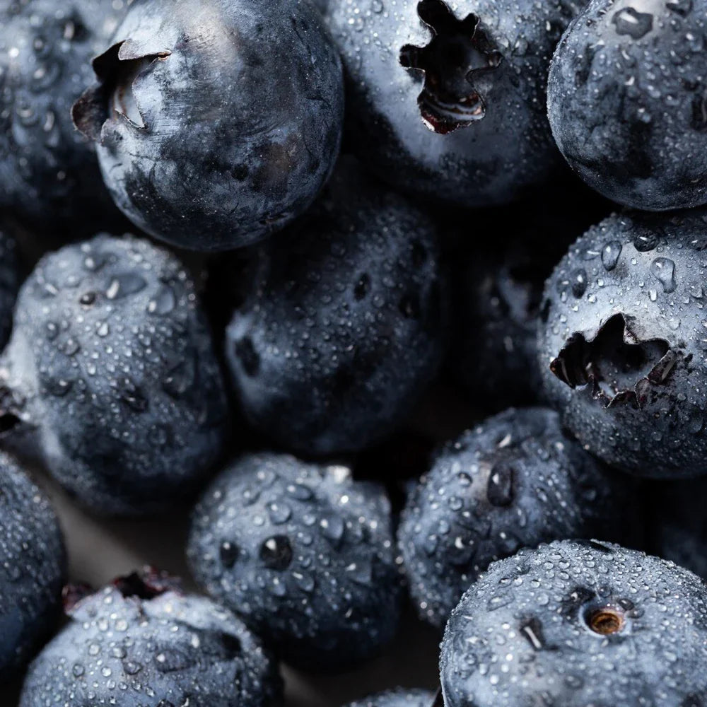 Honeybalm Blueberry LSF