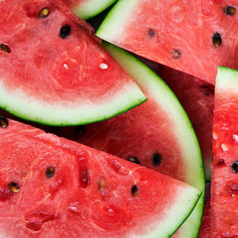 Honeybalm Watermelon LSF